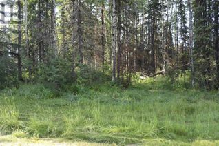 Property for Sale, 54027 Range Road 161, Rural Yellowhead County, AB