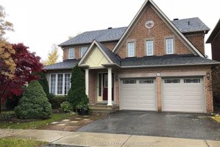 Apartment for Rent, 17 Greenbank Dr #Bsmt, Richmond Hill, ON Apartment for Rent, 17 Greenbank Dr #Bsmt, Richmond Hill, ON