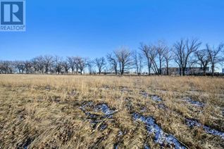 Land for Sale, Lot 3 Tigermoth Crescent N, Rural Willow Creek No. 26, M.D. of, AB