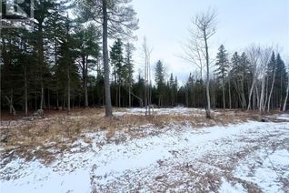 Commercial Land for Sale, 355 Haggerty Street, North Tetagouche, NB