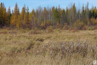 Land for Sale, Rr 214 Twp 624, Rural Thorhild County, AB