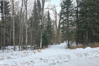 Commercial Land for Sale, 169 Old Muskoka Road S, South River, ON