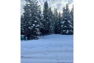 Vacant Residential Land for Sale, 10 Dogwood Place, Elkford, BC