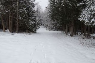 Vacant Residential Land for Sale, 000 Penny Lane, Grey Highlands, ON
