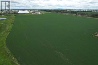 Farm for Sale, On Township Road 374, Rural Red Deer County, AB