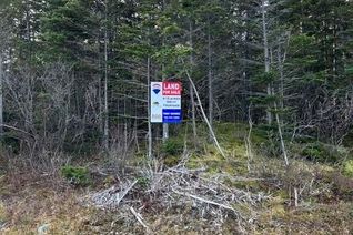 Commercial Land for Sale, 59-77 Main Road, Hearts Content, NL