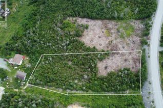 Land for Sale, 127 Minerals Road, Conception Bay South, NL