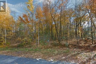 Commercial Land for Sale, 15 Lorlei Drive, White Lake, ON