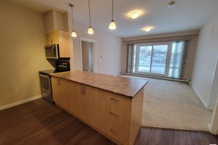 Condo Apartment for Sale, 207 9113 111 Av Nw, Edmonton, AB