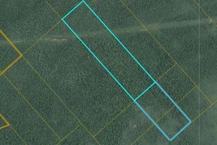 Land for Sale, 31 Acres Off Dunphy Road, Miramichi, NB