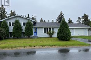 House for Sale, 118 Forest Road, Carbonear, NL