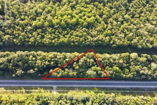 Commercial Land for Sale, Con 7 Pt Lot 36 Hwy 28, North Kawartha, ON