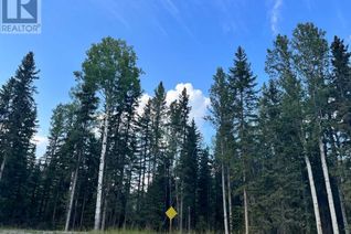 Land for Sale, Lot 4 (116) 32529 Range Road 52, Rural Mountain View County, AB