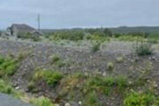 Commercial Land for Sale, 539 Southeast Road, Placentia, NL