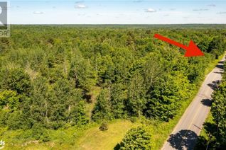 Land for Sale, 384 Mcdougall Road, McDougall, ON