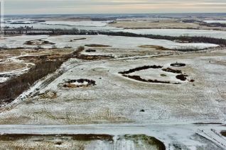 Land for Sale, Rm Of Orkney - Yorkton Acreage Land, Orkney Rm No. 244, SK