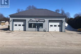 Non-Franchise Business for Sale, 343 David Winkler Parkway, West Grey, ON