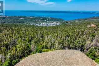 Land for Sale, 18 Tuckford Road, St. Philips, NL
