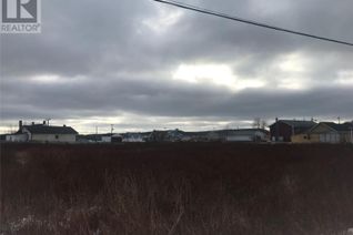 Land for Sale, 72-78 Lot 2 And 3 Canon Bayly Road, Bonavista, NL