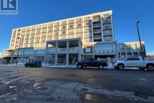 Condo Apartment for Sale, 509 130 Brodie St, THUNDER BAY, ON