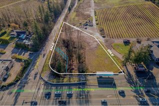 Commercial Farm for Sale, 29578 Fraser Highway, Abbotsford, BC