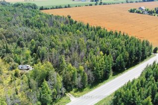 Vacant Residential Land for Sale, Lot 31 9 County Rd, Melancthon, ON