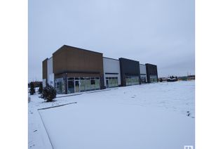 Commercial/Retail Property for Sale, 438 Mistatim Wy Nw, Edmonton, AB