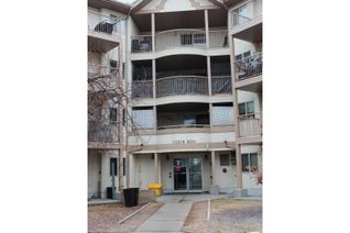 Condo Apartment for Sale, 209 11218 80 St Nw, Edmonton, AB