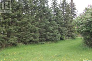 Commercial Land for Sale, 730 Broadway Street West, Orkney Rm No. 244, SK