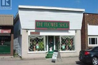 Commercial/Retail Property for Sale, 179 Gore St, Sault Ste. Marie, ON