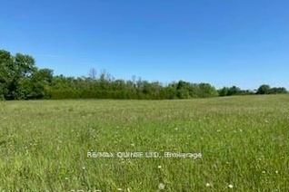 Vacant Residential Land for Sale, 11755 Highway 62 Rd, Madoc, ON