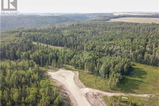 Commercial Land for Sale, 704016 Range Road 70 #49, Rural Grande Prairie No. 1, County of, AB
