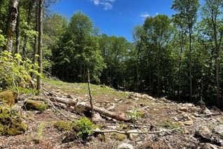 Commercial Land for Sale, 132b Georgian Drive, Northern Bruce Peninsula, ON
