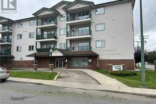 Condo Apartment for Sale, 404 205 Mcintyre Street N, Regina, SK