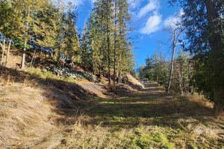 Commercial Land for Sale, 6802 Marian Lane, Nelson, BC