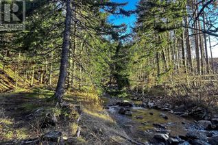 Commercial Land for Sale, Lot Shore Road E, Mount Hanley, NS