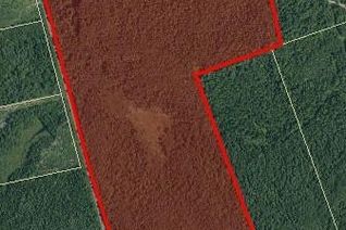 Vacant Residential Land for Sale, Lot Aldouane Station Cross, Saint-Charles, NB
