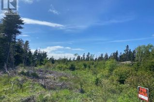 Commercial Land for Sale, 64-66 Kennedys Lane, Holyrood, NL