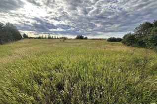 Commercial Land for Sale, 56506 Range Rd. 273, Rural Sturgeon County, AB