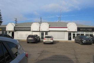 Commercial/Retail Property for Sale, 15734 100 Av Nw, Edmonton, AB