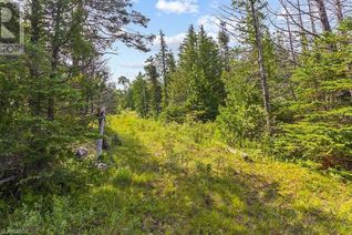 Land for Sale, 205 East Road, Northern Bruce Peninsula, ON