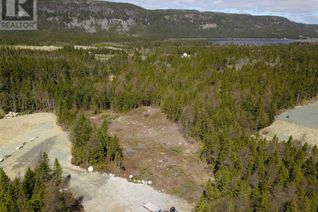 Commercial Land for Sale, Lot 4 Hutton Road, South River, NL