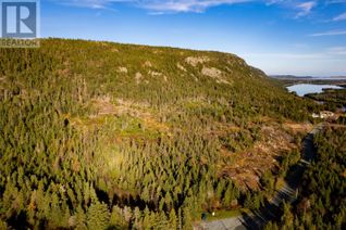 Land for Sale, 0 Drockety Road, Emerald Vale, NL
