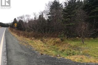 Commercial Land for Sale, 377-379 Trinity Road South 80 Highway, Green's Harbour, NL