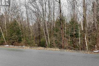 Commercial Land for Sale, Lot 39a John Arnold Avenue, Lower Branch, NS
