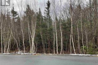 Commercial Land for Sale, Lot Pid 60463437 John Arnold Avenue, Lower Branch, NS