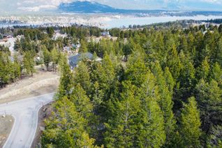 Vacant Residential Land for Sale, Lot 48 Pine Ridge Mountain Lane, Invermere, BC