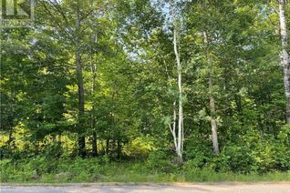 Commercial Land for Sale, Lot B Chippawa Road, Barry's Bay, ON