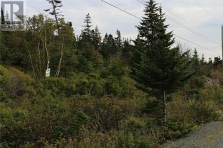 Commercial Land for Sale, 452 Maddox Cove Road, ST. JOHN'S, NL