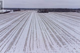 Commercial Farm for Sale, 41456 Harriston Road, Bluevale, ON